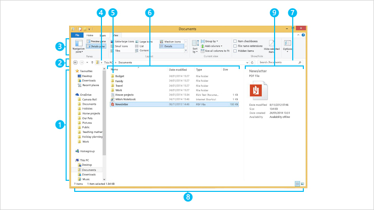 The File Explorer Window